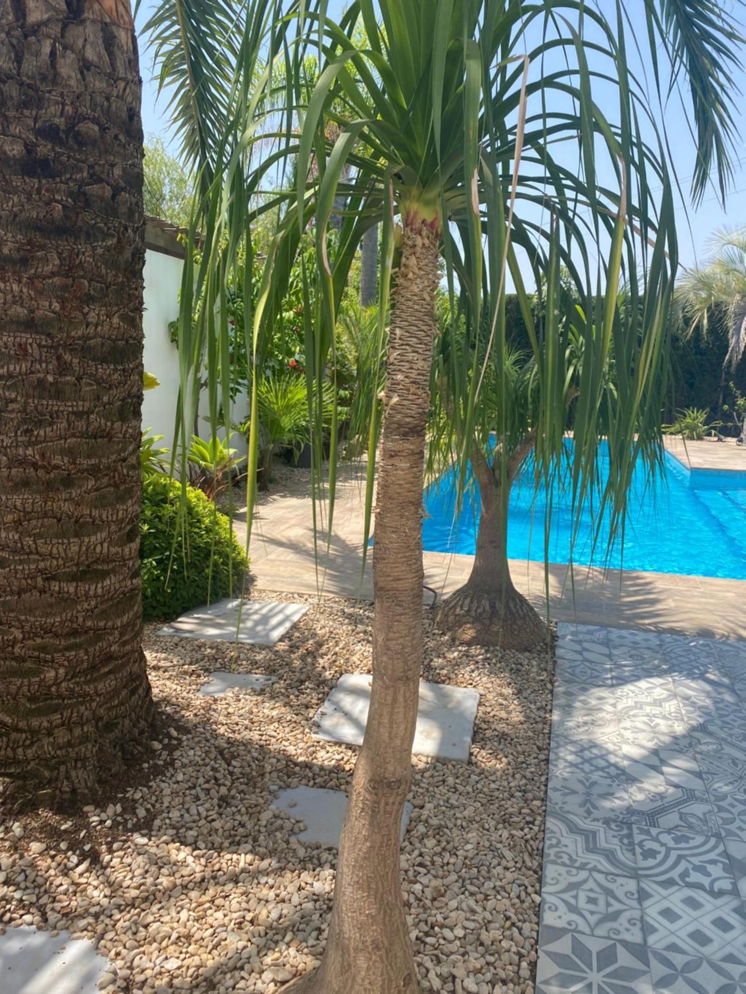 Bohospanishvilla Moraira Exterior photo